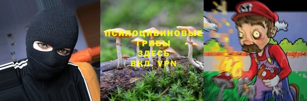 ПСИЛОЦИБИНОВЫЕ ГРИБЫ Каменка