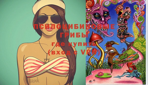 марки lsd Белокуриха